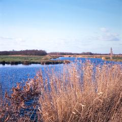 View of the southwest part of the Vennen in the Twiske recreation area