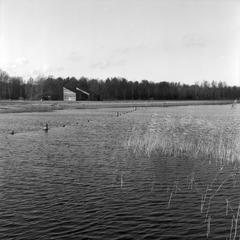 Het Schoorlstrand in recreation area het Twiske