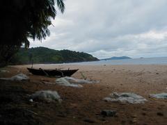 Scenic coastal view of Canacona with lush greenery and clear blue waters