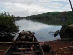 Scenic view of Canacona in Goa, India, with trees, hills, and scattered houses under a clear blue sky