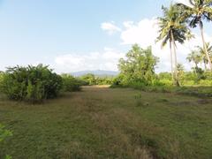 Scenic view of Goa's hinterland with blue sky