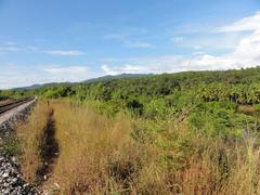 Scenic hinterland landscape with lush greenery and cloudy sky