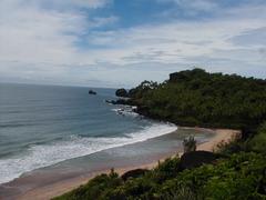 Unspoiled coast of Canacona with lush greenery and clear blue water