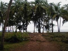 A serene beach view of Canacona with clear blue skies and lush greenery