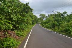 Road in Canacona Taluk, Goa, India