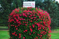 Flowers and Rødovre Municipality border sign