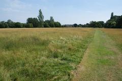 Cannon Hill Common landscape