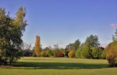 Autumn on Cannon Hill Common