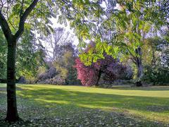 Autumn colours on Cannon Hill Common view northward near Cannon Hill Lane