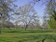 Spring on Cannon Hill Common facing northward to Wimbledon