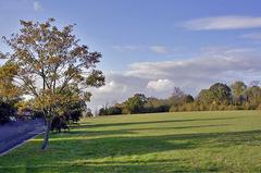 Autumn colours on Cannon Hill Common along Parkway