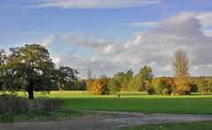 Wimbledon in autumn at Cannon Hill Common