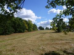 Cannon Hill Common landscape