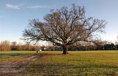 Cannon Hill Common scenic view