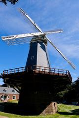 Murphy Windmill in Golden Gate Park