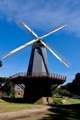 Murphy Windmill in Golden Gate Park