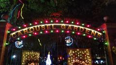 Carousel Gardens at City Park in New Orleans at night during Celebration in the Oaks