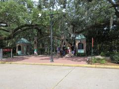 Scenic view of City Park in New Orleans featuring lush greenery, a calm water body, and a pavilion in the distance