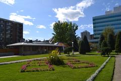 Central Memorial Park in springtime with blossoming trees and green lawns