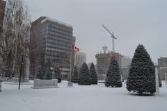 Winter in Calgary with snow-covered trees and houses