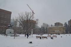 Winter landscape in Calgary with snow-covered trees and overcast sky