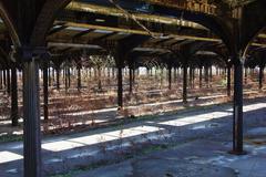 Track area inside former Communipaw Terminal