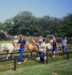 Children enjoying a pony ride at Centreville Amusement Park