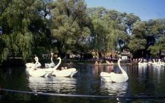 Swan boat ride in Centreville Amusement Park