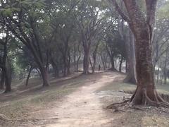 Ruins of Chandraketugarh archaeological site