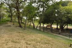 The ancient mound of Chandraketugarh in North 24 Parganas, West Bengal, India