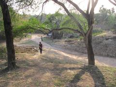 Ancient mound of Chandraketugarh in Berachampa, West Bengal