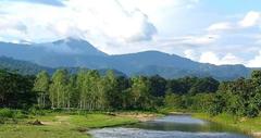 Autumnal beauty of Siliguri