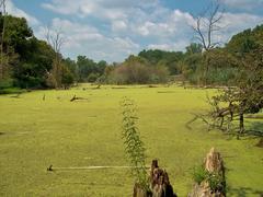 Chicago Portage National Historic Site