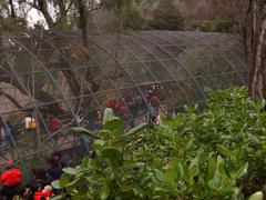 aviary at the National Zoo of Chile in Santiago