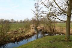 A drain on Christchurch Meadow