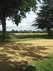 Christ Church Meadow in Oxford