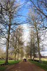 Footpath in Christ Church Meadows