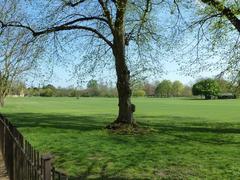 meadow between Merton College and Christ Church