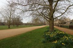 Broad Walk in Christ Church Meadow