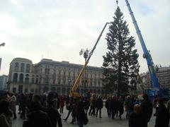 Erection of the Christmas tree in Piazza del Duomo