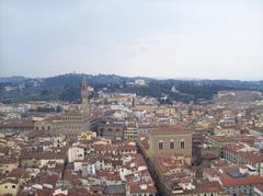 View of Florence cityscape from the bell tower