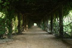 Coker Arboretum at the University of North Carolina at Chapel Hill