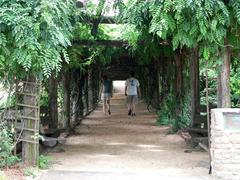 Coker Arboretum at UNC Chapel Hill