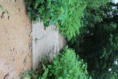 Inconspicuous footbridge near the northeast corner of Coker Arboretum at UNC Chapel Hill