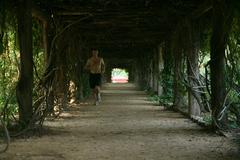 Jogger in Coker Arboretum tunnel at the University of North Carolina at Chapel Hill