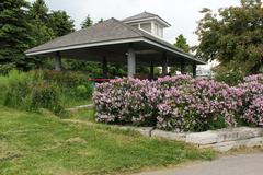 Colonel Samuel Smith Park in Mississauga with fall foliage and a lake