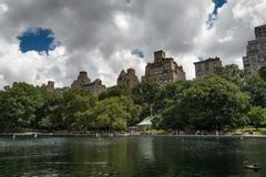 Central Park in New York City on a sunny day