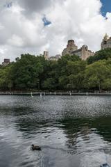 Central Park in New York City