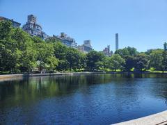 Breathtaking view of Central Park with lush green trees and a distant cityscape