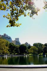 Central Park in New York City